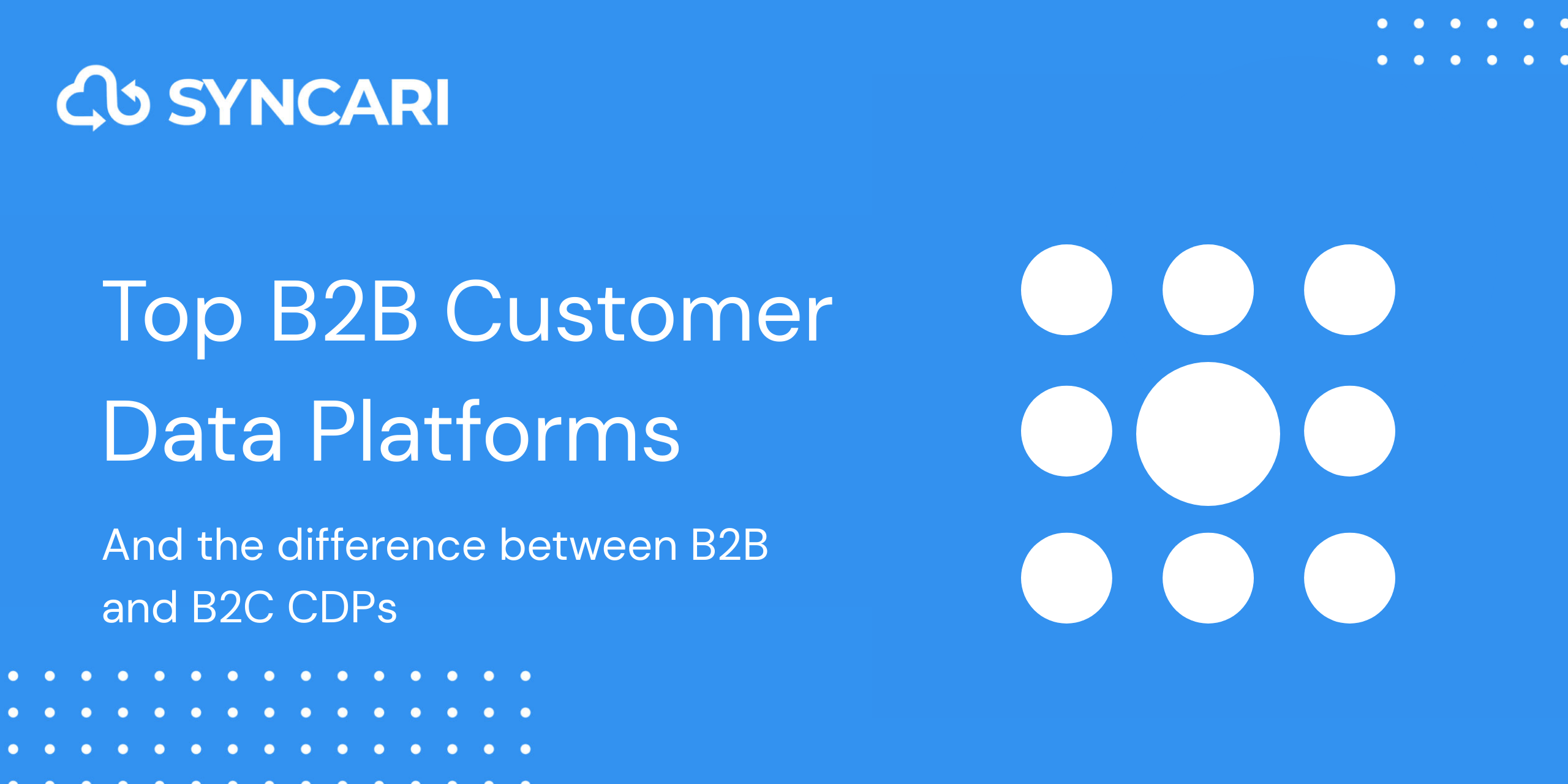 Top B2B Customer Data Platforms