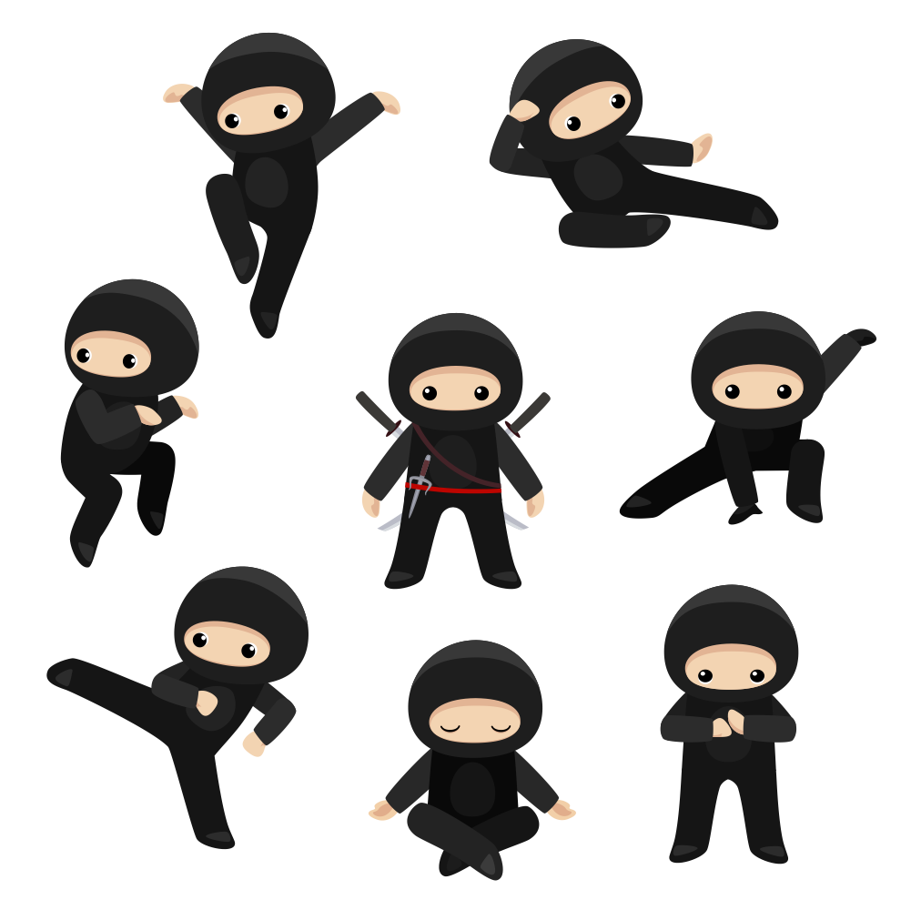Syncaroo Ninja Team