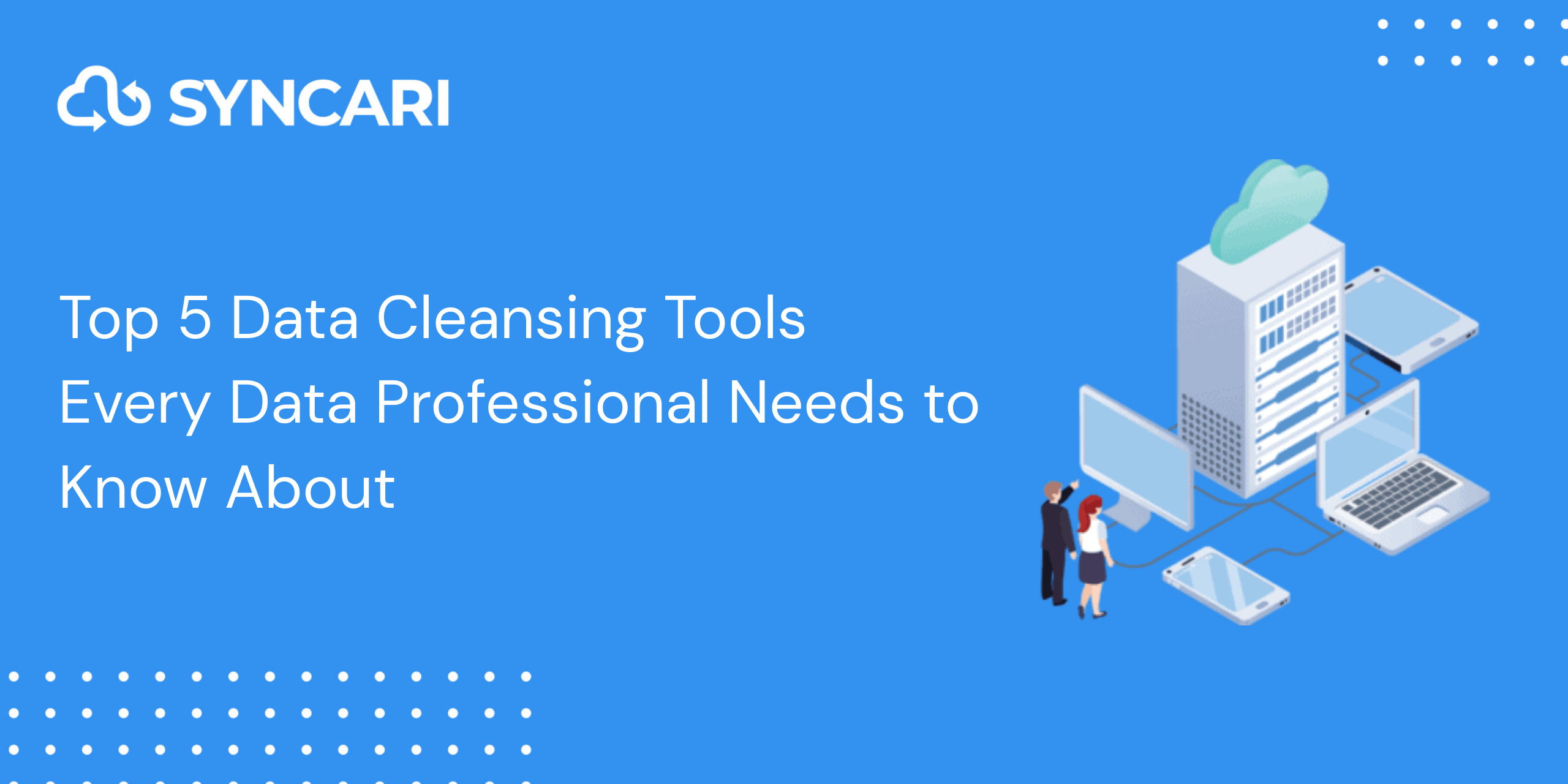 Data cleansing tools